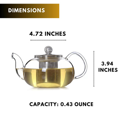 20 Oz (600 Ml) Clear Borosilicate Glass Stovetop Tea Pot Set with Infuser